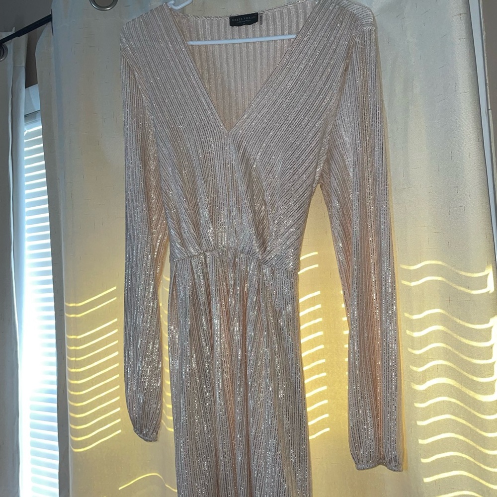 Boutique Shimmery Dress
